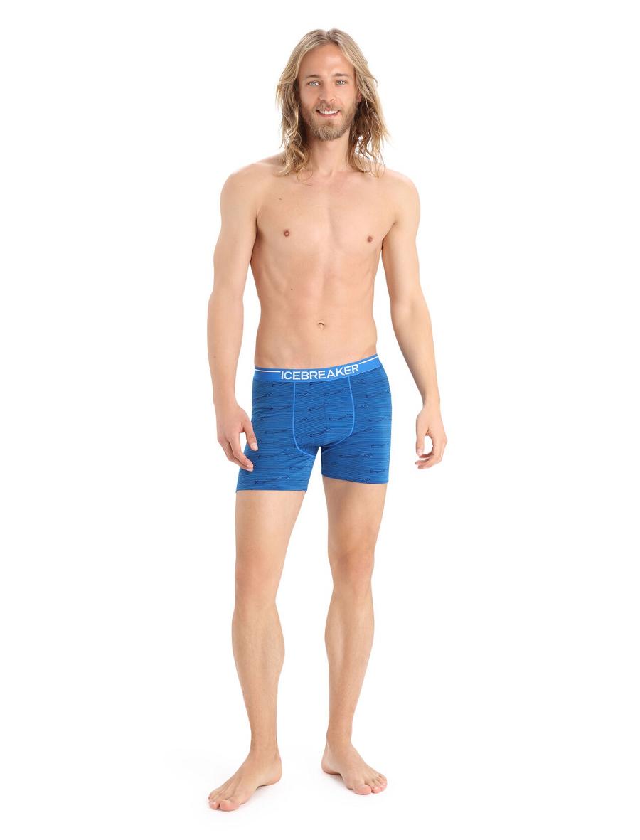 Men's Icebreaker Merino Anatomica Boxers Underwear Lazurite / Midnight Navy | CA 1637JPQJ